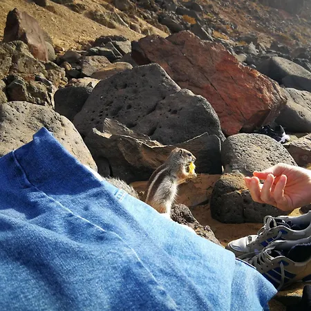 شقة Marine Melody House - Perfect For Relaxing Getaway