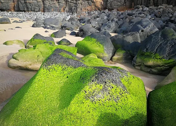 Marine Melody House - Perfect For Relaxing Getaway 公寓 拉哈雷斯