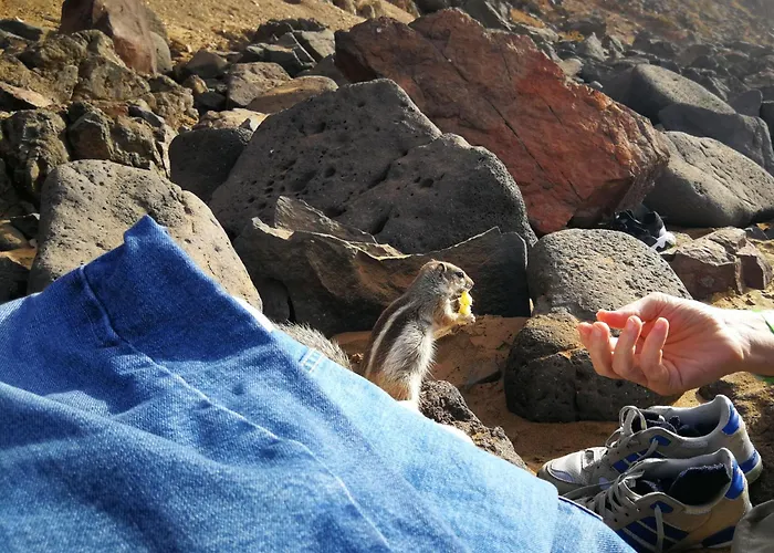 Appartement Marine Melody House - Perfect For Relaxing Getaway