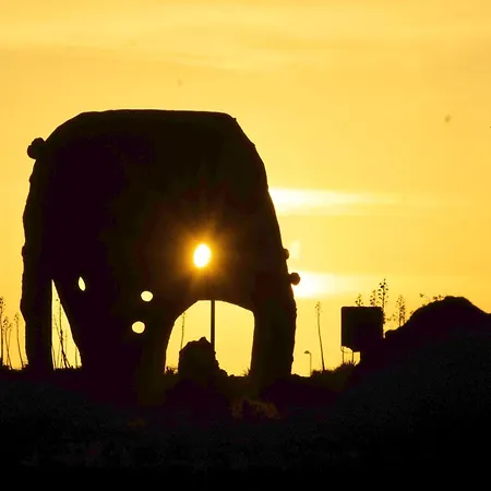 Marine Melody House - Perfect For Relaxing Getaway * Lajares